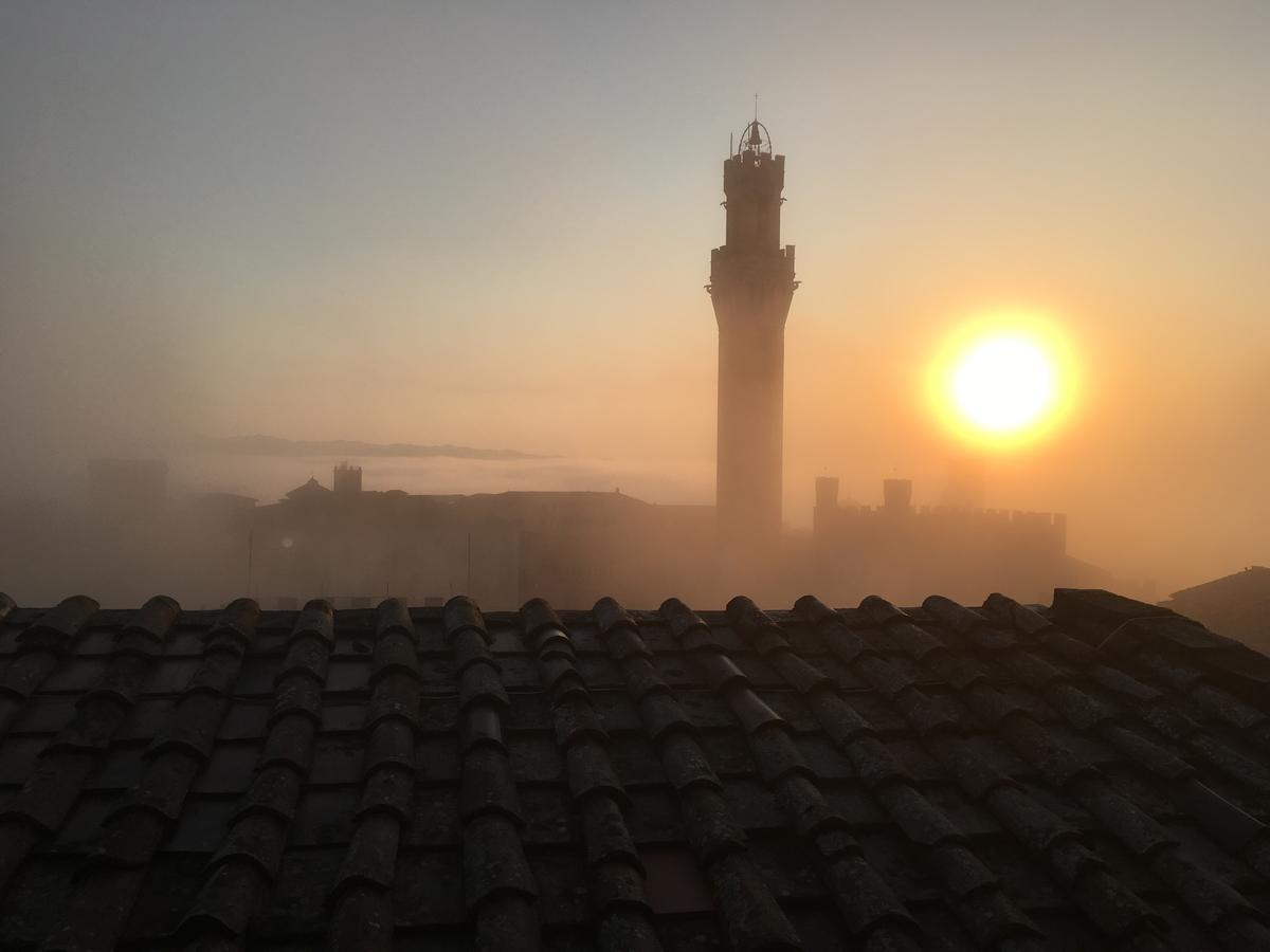 Il Nido Daire Siena Dış mekan fotoğraf